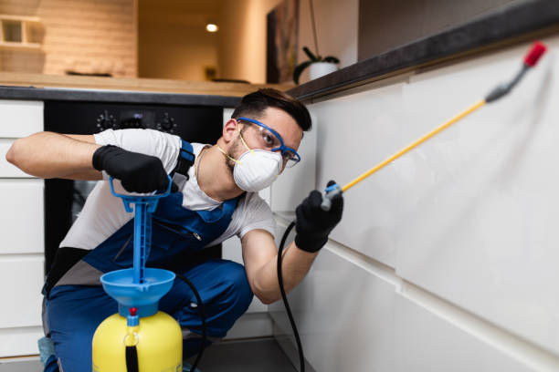 Best Rat Extermination Near Me  in Mccleary, WA
