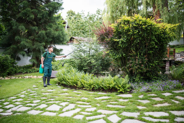 Best Mosquito Control Services  in Mccleary, WA