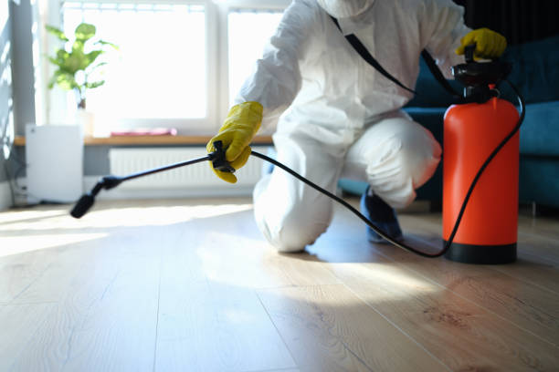Best Flea Control Services  in Mccleary, WA