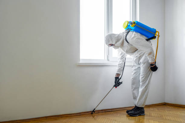 Best Pest Control Near Me  in Mccleary, WA