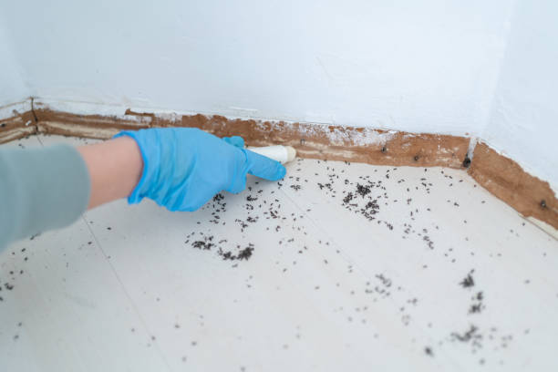 Best Commercial Pest Control Services  in Mccleary, WA